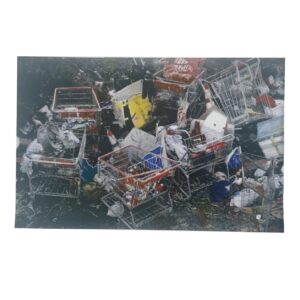 shopping Cart - riso